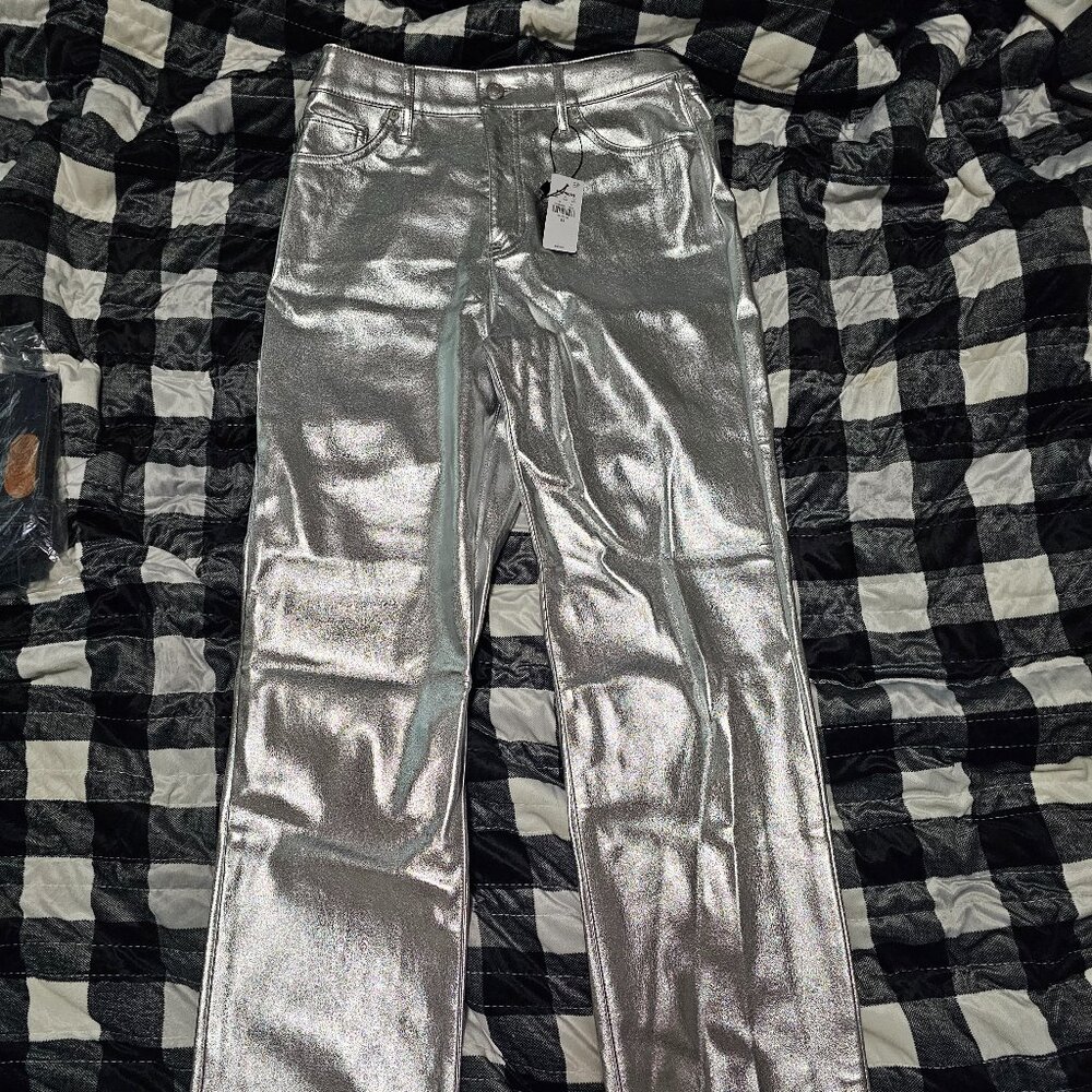 NWT Express Silver Pants